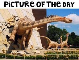 Free Funny Animals Picture Prompts For Narrative Writing Powerpoint Picture Prompts Picture Writing Prompts Picture Story Prompts
