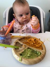 I think i know where all the baby spiders are coming from. Baby Solids Easier Than Homemade Baby Food Kelley Ferro