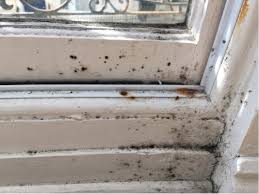 It's a new building (a backyard cottage) and very airtight but i'm trying to get the mold out of one of the windowsills before i go. How To Deal With This Mold On The Window Frame Home Improvement Stack Exchange