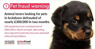 This receipt template makes reference to the date on. Depositmate Depositmate Twitter