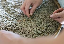 My name is nasser azzam, and i am contacting you to request for a quotation for wholesale shipments of green coffee beans (arabica and robusta). Skipping The Roast The Top Benefits Of Unroasted Coffee Beans Intercontinental Coffee Trading Inc