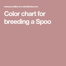 Color Chart For Breeding A Spoo All Things Poodle Poodle