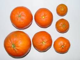 Maybe you would like to learn more about one of these? Sl381 Ss583 Potassium K For Citrus Trees