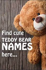 Teddy Bear Names Naming Your Child S Stuffed Animals Cute Teddy Bear Names Teddy Bear Names Bear Names