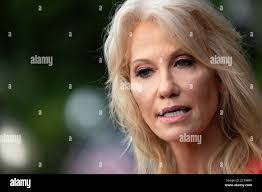 Carol Conway's Instagram, Twitter & Facebook