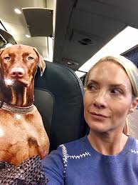Dana Perino