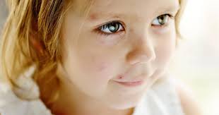 Dr. Stephen Ralph Lasala M.D., Pediatrician in Manhasset, NY, 11030