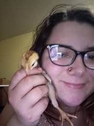 Introducing Nugget (left) and Sundae (right)