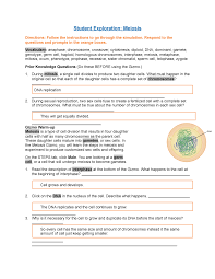 This exercise is a simulation of human karyotyping using digital images of chromosomes from actual human genetic studies. Meiosis Gizmos Whole Doc Of Gizmo Studocu