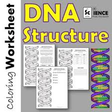 Dna Structure Double Helix Guided Learning Activity Color Worksheets Worksheets Dna