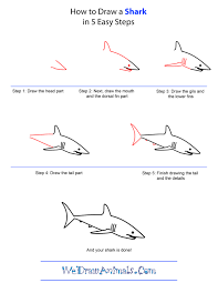 How To Draw A Shark Shark Drawing Shark Art Easy Drawings