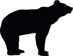 Bear is classified as omnivorous animal, they can eat both plants and animals. Bear Silhouette Clipart 1 566 198 Clip Arts