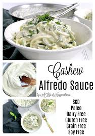 Cashew Alfredo Sauce Scd Paleo Vegan Dairy Free Recipe Paleo Recipes Scd Recipes Dairy Free