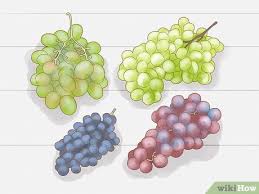 Growing grapes can be done all by yourself without any helps from expert gardeners. How To Grow Grapes From Seeds 12 Steps With Pictures Wikihow