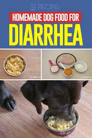 Recipe Homemade Dog Food For Diarrhea Make Dog Food Healthy Dog Food Recipes Dog Food Recipes