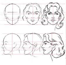 Maybe you would like to learn more about one of these? Female Head Drawing Proportions Drawing Heads Figure Drawing