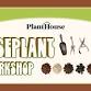 Houseplant 102 Workshop