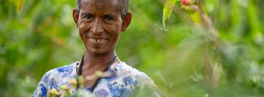 Insights and data library