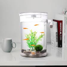 Delivering products from abroad is always free, however, your parcel may be subject to vat, customs duties or other taxes, depending on laws of the country you live in. Star Mall Self Cleaning Plastic Fish Tank Desktop Aquarium Betta Fishbowl For Office Home Decor Style Square Lazada Ph