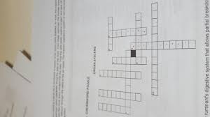 Be sure to visit the guide for more context and information about human body systems crossword puzzle, or read some of our other health & anatomy posts! Crossword Puzzle Organ System Brainly Ph