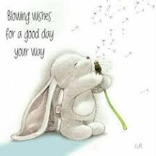 A little gratitude goes a long way. 350 Have A Blessed Day Ideas In 2021 Good Morning Quotes Have A Blessed Day Good Morning Good Night