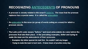 Pronouns make up a small subcategory of nouns. Nouns And Pronouns Nouns Nouns Nouns Are Naming