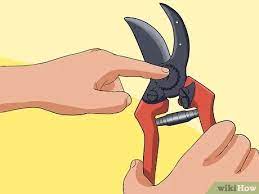 This simple method can be used on any rusted item such as garden tools, bicycles, auto parts, hand tools or outdoor decor. How To Clean Your Rusty Garden Tools 14 Steps With Pictures