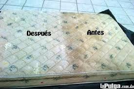 Limpiamos tus alfombras de manera profesional. Lavado De Muebles Chettpilo Perfil Pinterest