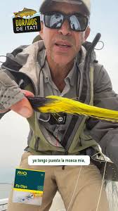 Federico Prato Fly Shop