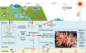 The web color aqua is identical to the web color cyan, also sometimes called electric cyan, one of the three secondary colors of the rgb color model used on computer and television displays. Microplastics In The Coral Reefs And Their Potential Impacts On Corals A Mini Review Sciencedirect