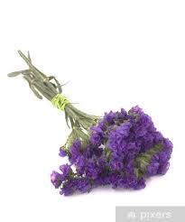 Statice Flowers Limonium Sinuatum Sticker Pixers We Live To Change