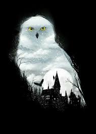 Pin By Jocelyn Mooy On Harry Potter In 2020 Harry Potter Artwork Harry Potter Wallpaper Harry Potter Owl