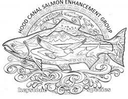 Chum salmon coloring page from salmon category. Salmon Archives Hcseg