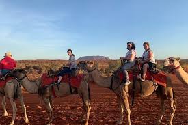 After your ride, enjoy a light breakfast of our famous freshly baked beer bread damper with australian jams. Uluru Small Group Tour By Camel At Sunrise Or Sunset Marriott