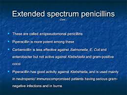 Image result for Extended Spectrum Penicillin
