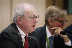 RFS volunteer Blake Banner guilty of starting fire in Bega Valley in 2019,  acquitted