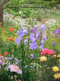 Tasha Tudor Garden Tasha Tudor Cottage Garden English Cottage Garden Beautiful Gardens
