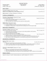 New Grad Lpn Resume Mryn Ism