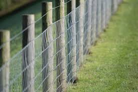 Rabbit proof fencing: everything you need to know