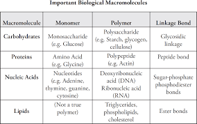 Cracking The Ap Biology Exam 2018