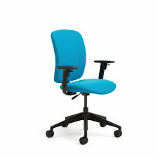 Amia Ergonomic Task Chair With Adjustable Arms Steelcase