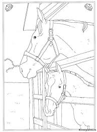 2400 x 3200 png pixel. Op De Manege Kleurplaat Kleurplaten Dieren Kleurplaten Boek Bladzijden Kleuren