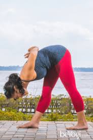 Learn How To Teach Yoga Poses From Beginner To Advanced Yoga Poses For Men Yoga Fitness Basic Yoga Poses