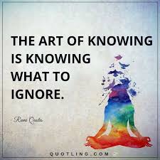 Rumi Quotes The Art Of Knowing Is Knowing What To Ignore