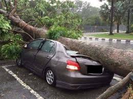 Claim kereta hempap pokok cuaca baik. Ini Cara Nak Elakkan Renew Insuran Dan Roadtax Cepat Facebook