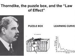 Check spelling or type a new query. The Early Theorists The Educated Brain