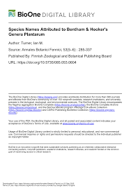 Image result for Triainolepis sancta