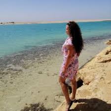 أسرة الشمس للقطط