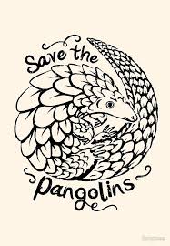 Cute Pangolin Save The Pangolins Pangolin Pangolin Art Endangered Species Art