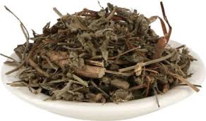 Image result for Cocculus hirsutus